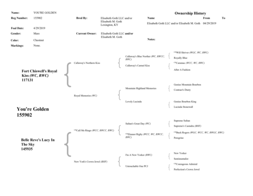 You'reGoldenPedigree (Page 2) (1)
