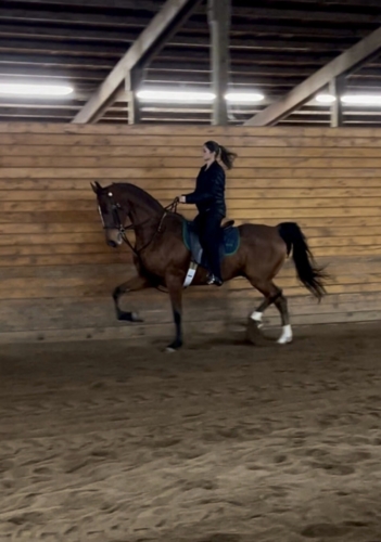 00328691-AEC2-43B2-8750-D9CC5652FA92