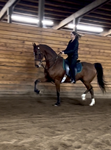 0B9C2ADB-CF0C-41A9-B88A-75D9D165B42D