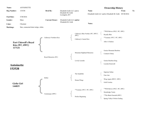 AntoinettePedigree