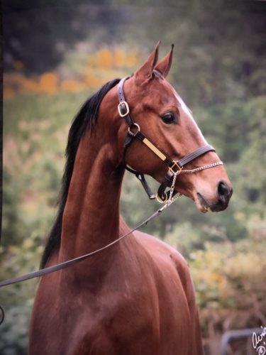 B0844D74-6741-44AD-B21E-D28B758BB4FB