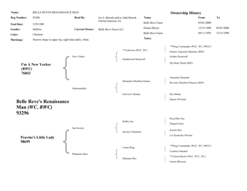 BRRenaissanceManPedigree-Page-2-1