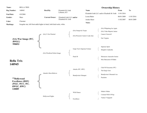 BellaTrixPedigree-Page-2-1