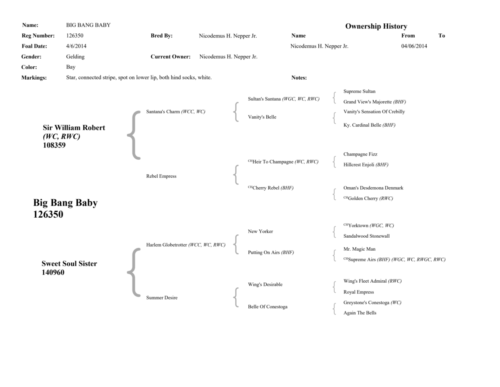 BigBangBabyPedigree-Page-2
