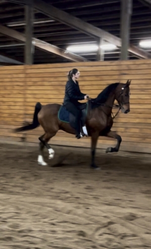 C46E60B0-FBF3-4699-896B-AAA6029E3BD8