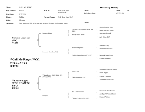 CallMeRingoPedigree-Page-2-2