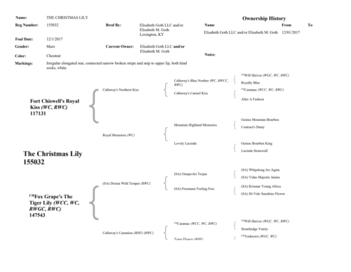 ChristmasLilyPedigree