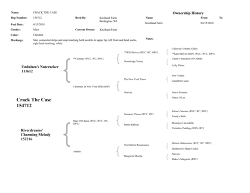 CrackTheCasePedigree-Page-2