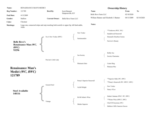 MediciPedigree-Page-2-1