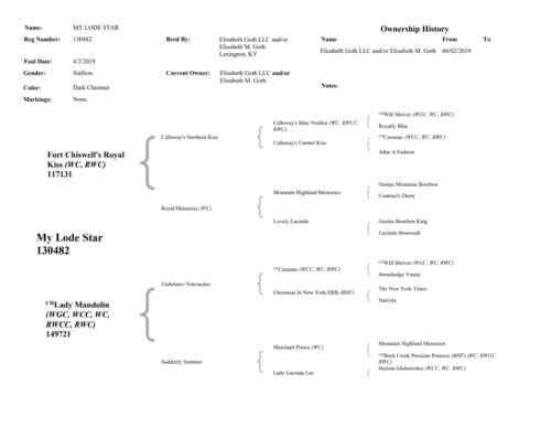 MyLodeStar-Pedigree