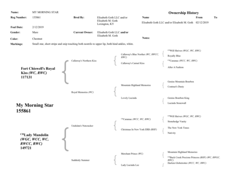 MyMorningStarPedigree