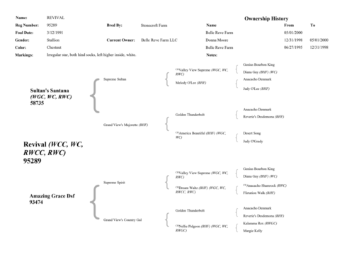 Revival-Pedigree-Page-2-1