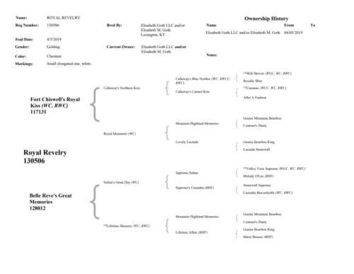 RoyalRevelryPedigree