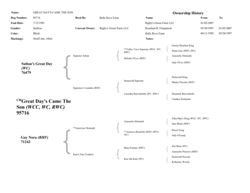 SonPedigree-Page-2-1