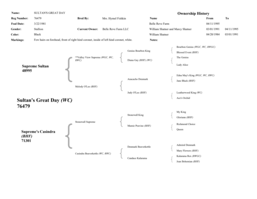 SultanGreatDayPedigree-Page-2