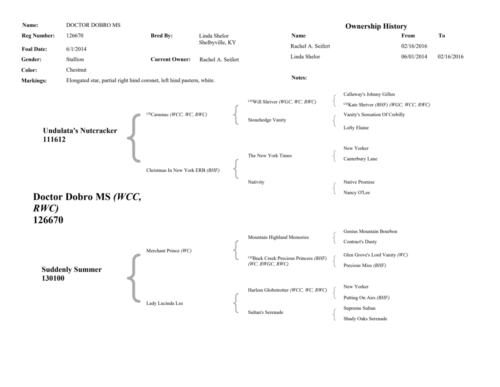 docpedigree-Page-2